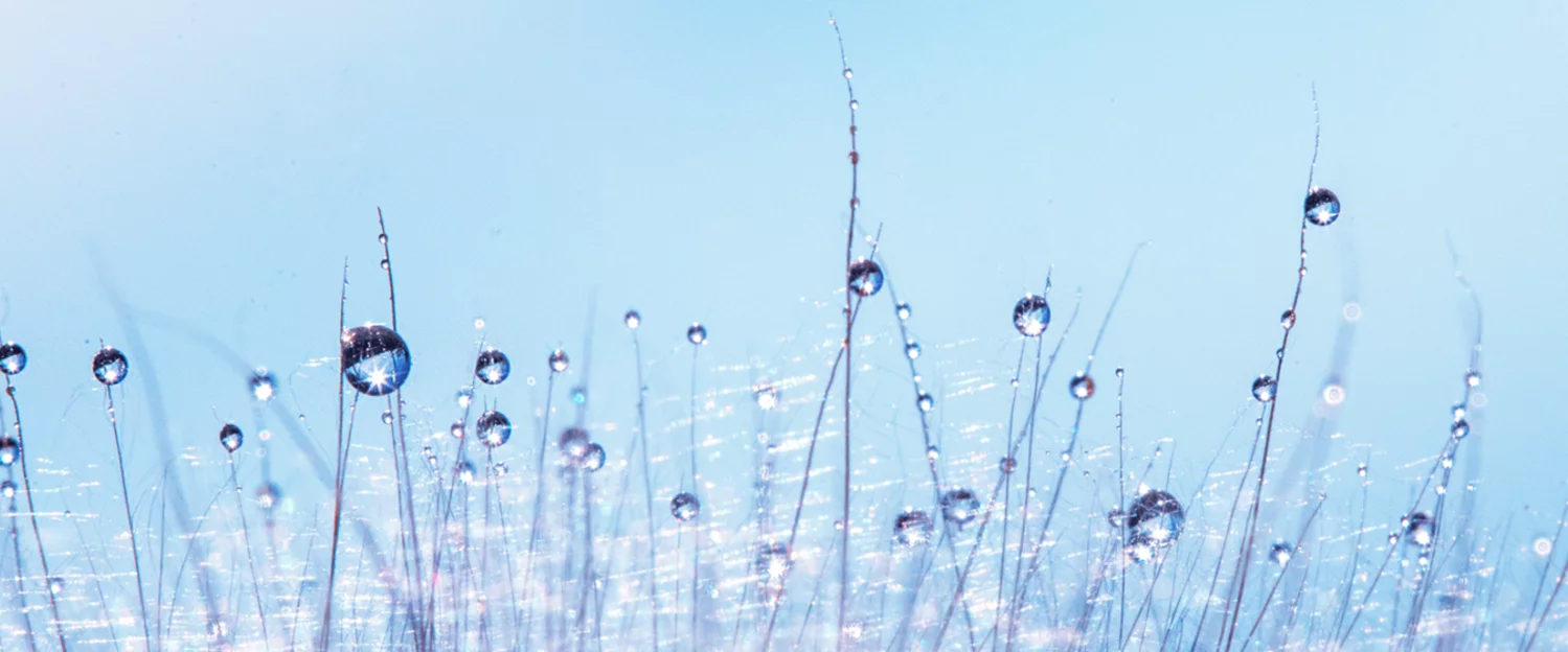 Le capteur de point de rosée dans la salle de séchage