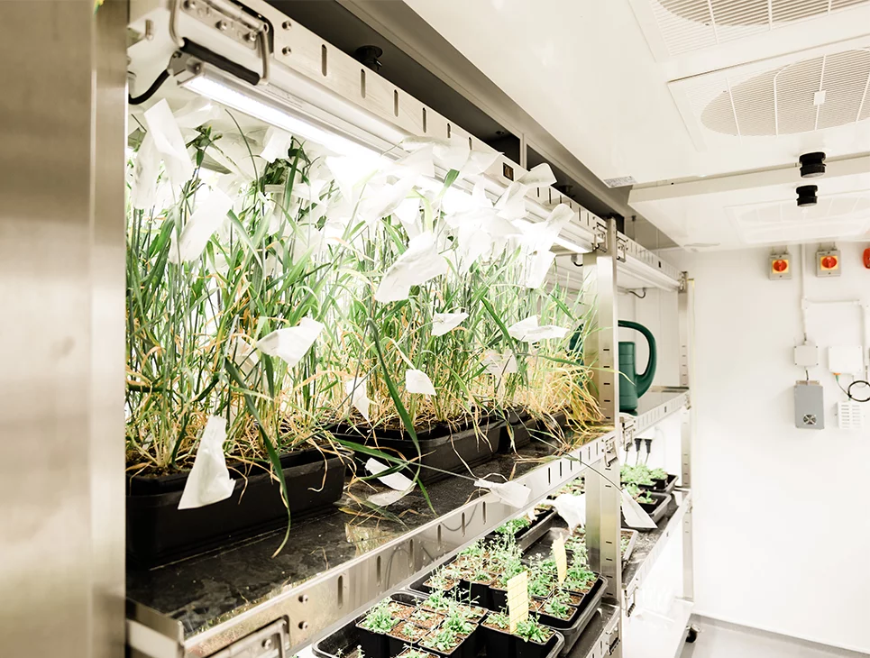 Weiss Technik Installs Walk-In Plant Rooms at University of Leeds ...