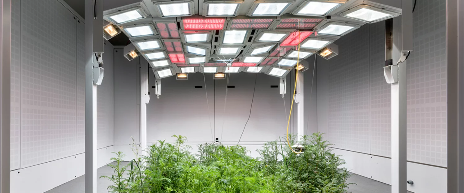 Climate chambers for international research project on agroecosystems