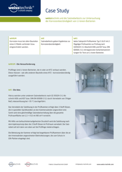 Case_Study_Salznebelkammer_DE.pdf