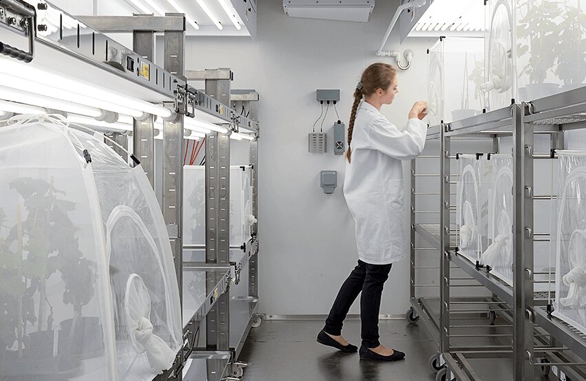 Cámaras climáticas transitables para plantas e insectos Fitotron®SGR