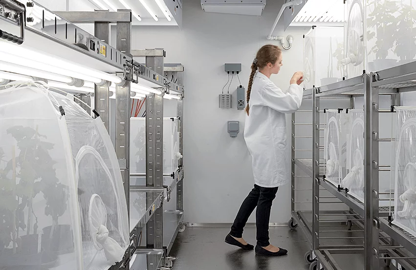 Chambres climatiques accessibles pour les plantes et les insectes Fitotron®SGR